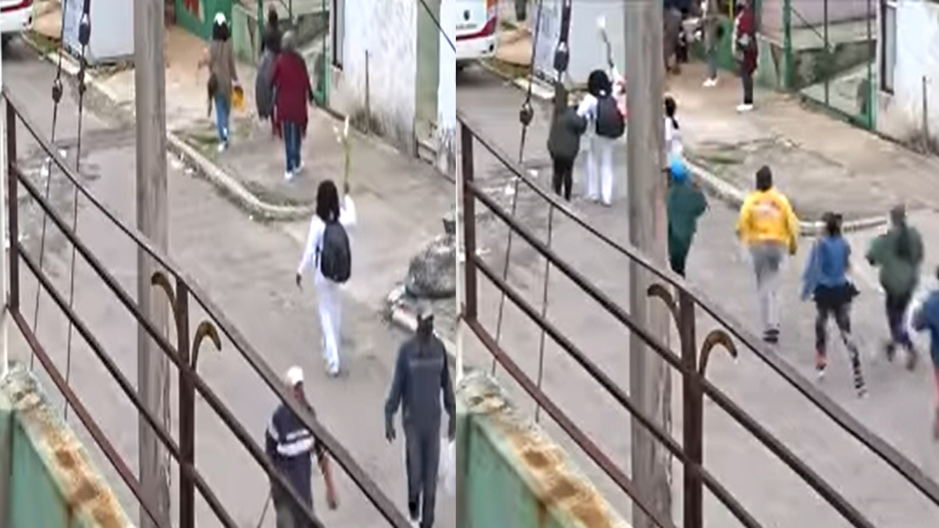 Policía política detiene a Dama de Blanco Berta Soler