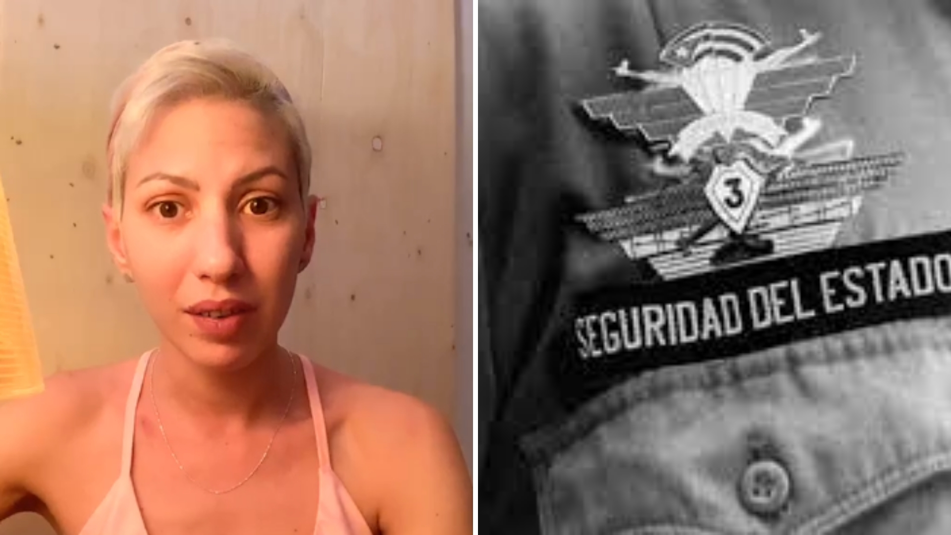 Seguridad-Activista.jpg
