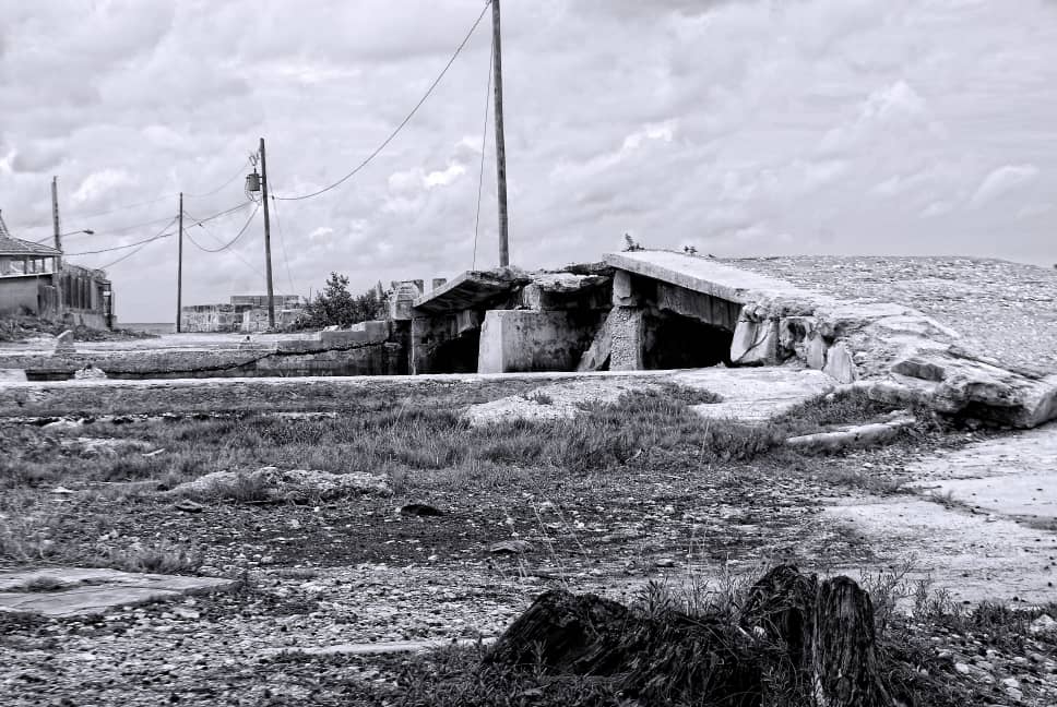 Día Internacional de la Tierra. /Foto: Ariel Maceo Tellez. ADN CUBA