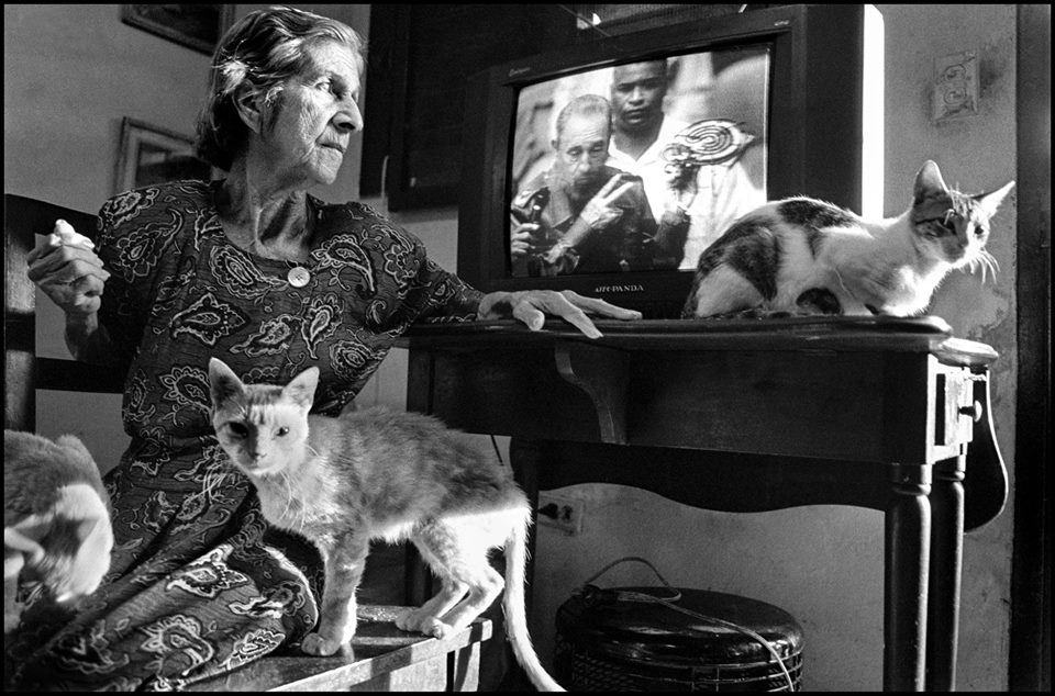 Fotografía de Raul Cañibano -- Generación de los Padres Huerfanos ADN Cuba