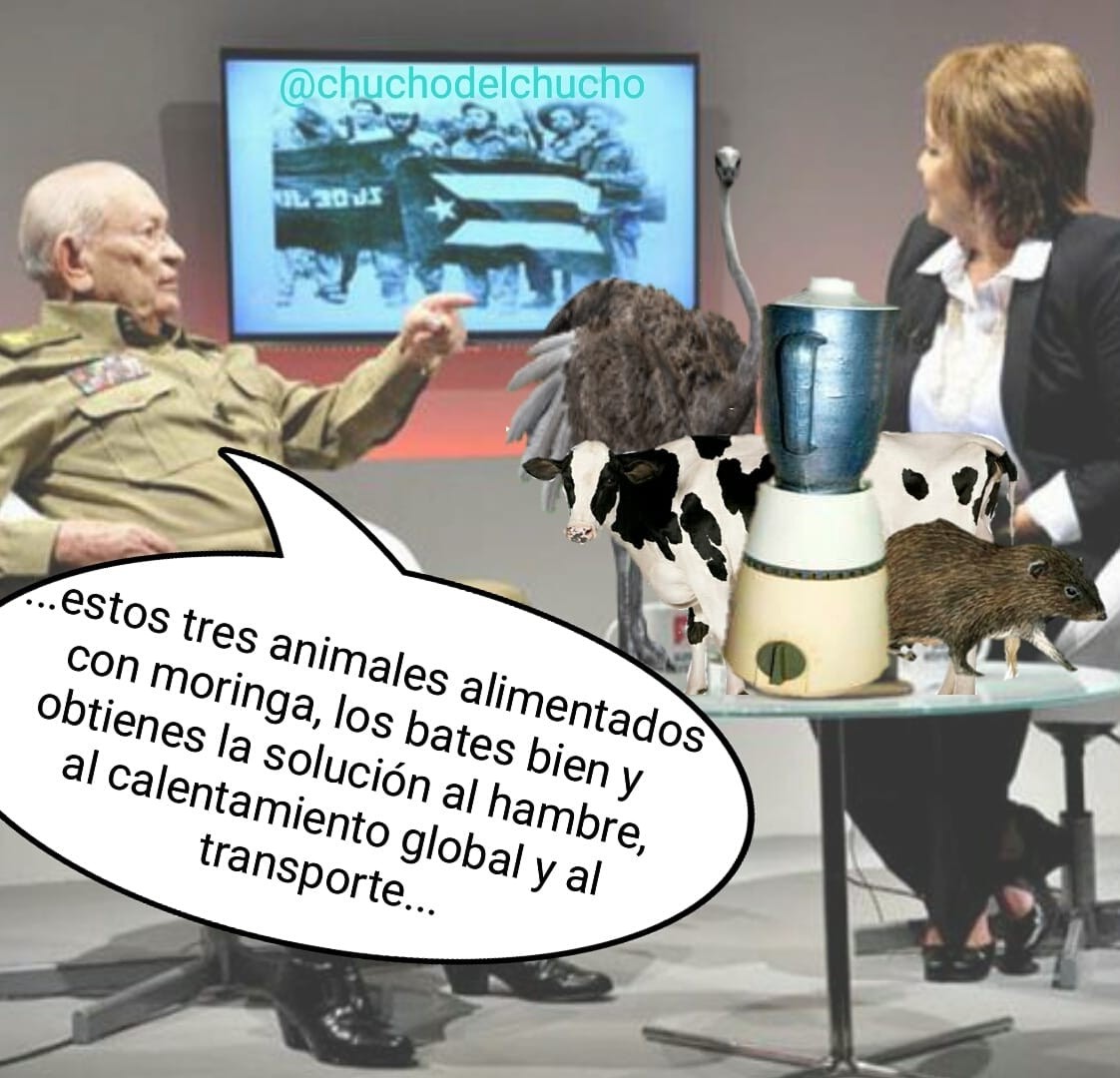 10 mejores memes sobre la “carne de avestruz” en Cuba